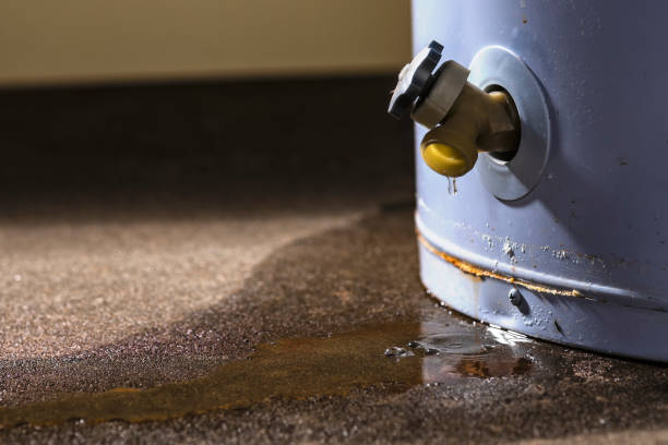 Best Ceiling water damage repair  in Westwood, PA