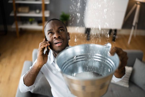 Best 24-hour water damage restoration  in Westwood, PA