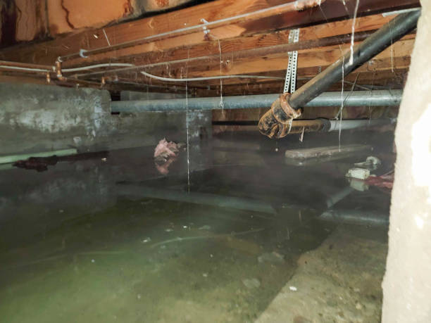 Best Commercial water damage restoration  in Westwood, PA
