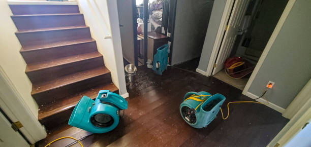 Best 24/7 water damage repair  in Westwood, PA