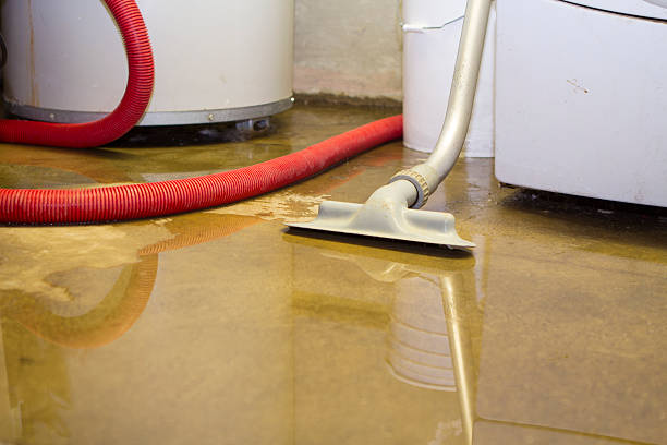 Best 24-hour water damage restoration  in Westwood, PA