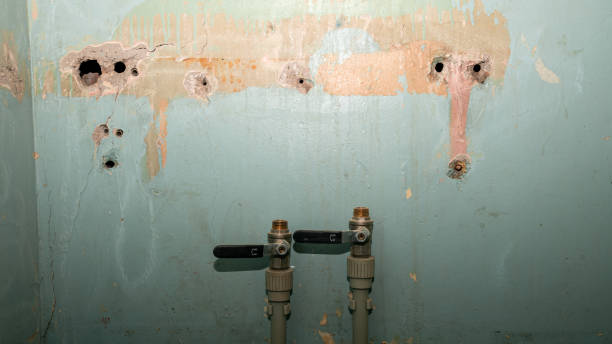 Best 24/7 water damage repair  in Westwood, PA