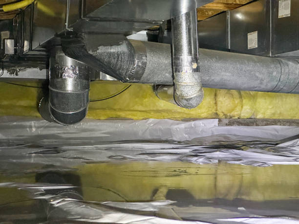 Best Water damage restoration process  in Westwood, PA