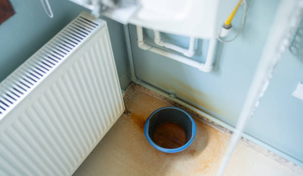 Best Basement water damage restoration  in Westwood, PA