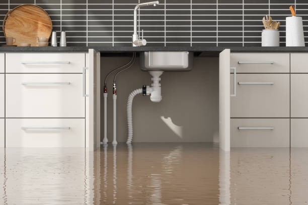 Best Water damage cleanup near me  in Westwood, PA