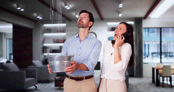 Best Professional water damage repair  in Westwood, PA