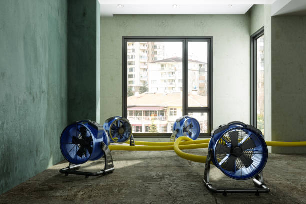 Best Water damage restoration insurance claims  in Westwood, PA