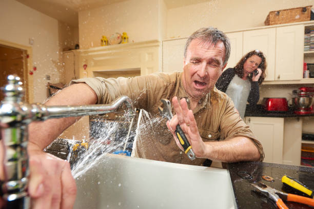Best Local water damage restoration  in Westwood, PA